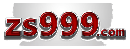 zs999a com logo